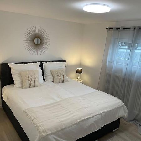 Gemuetliche&Moderne Ferienwohnung Naehe Trier & Luxemburg Bollendorf Eksteriør billede
