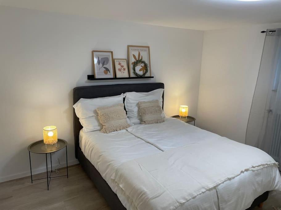 Gemuetliche&Moderne Ferienwohnung Naehe Trier & Luxemburg Bollendorf Eksteriør billede